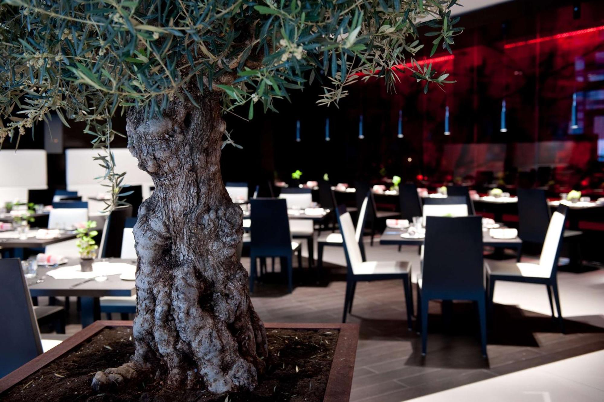 Hotel Park Plaza London Westminster Bridge Esterno foto Restaurant